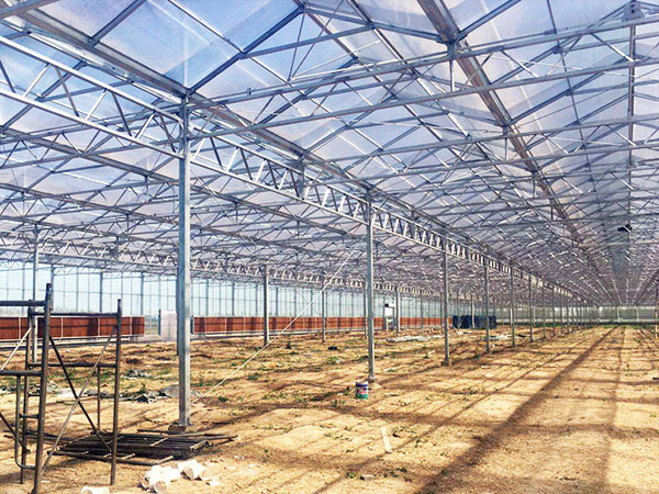 山东贝荣温室工程有限公司