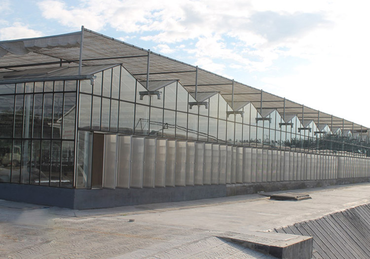 连栋温室4。.jpg 连栋温室4。.jpg