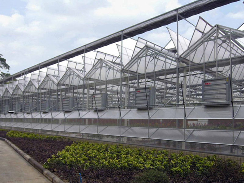 连栋温室1.jpg 连栋温室1.jpg