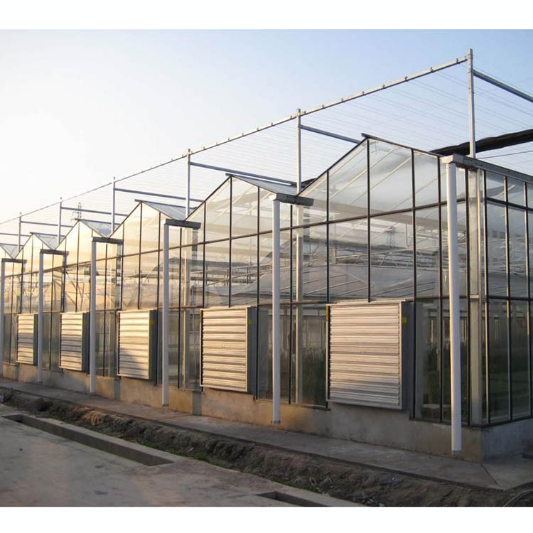 关于连栋温室造价的相关问题