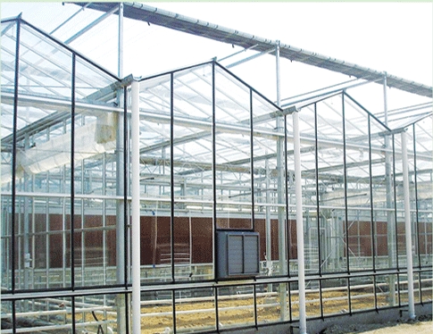 玻璃温室
